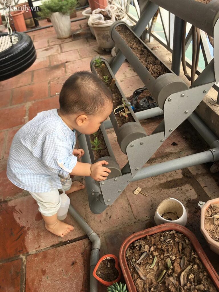 Vườn Tâm